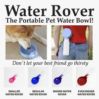 Water Rover Regular 4-Inch Bowl and 15-Ounce Bottle, Blue