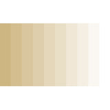 Grout Shield Grout Restoration System- (SandStone)