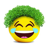 Chia Pet Planter - Emoji -Tears of Joy