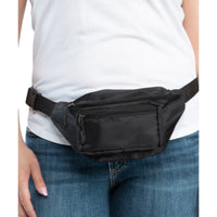 Kole 4 Compartment Travel Waist Pouch