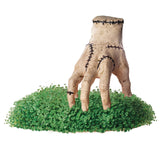 Chia Pet Planter - Thing