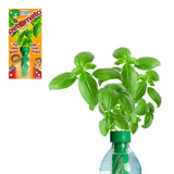 Petomato Basil Plant