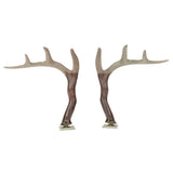 The Original Truck Antlers