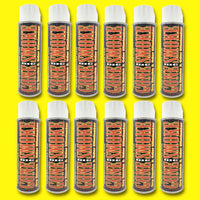 Big Gone Smoke- Dry Smoke & Odor Eliminator, 16 oz.- 12 pack