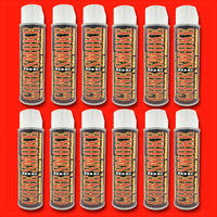 Big Gone Smoke- Dry Smoke & Odor Eliminator, 16 oz.- 12 pack