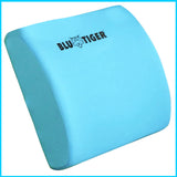 BluTiger Lumbar Support Cushion