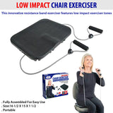 Low Impact Chair Exerciser