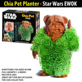 Chia Pet Planter - Star Wars EWOK