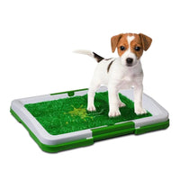 Duke's Indoor Potty Trainer Tray