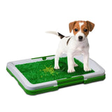 Duke's Indoor Potty Trainer Tray