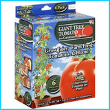 Gardener's Choice Giant Tree Tomato - Includes 6 Pre-Seeded Pots