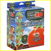 Gardener's Choice Giant Tree Tomato - Includes 6 Pre-Seeded Pots