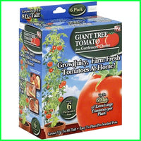 Gardener's Choice Giant Tree Tomato - Includes 6 Pre-Seeded Pots