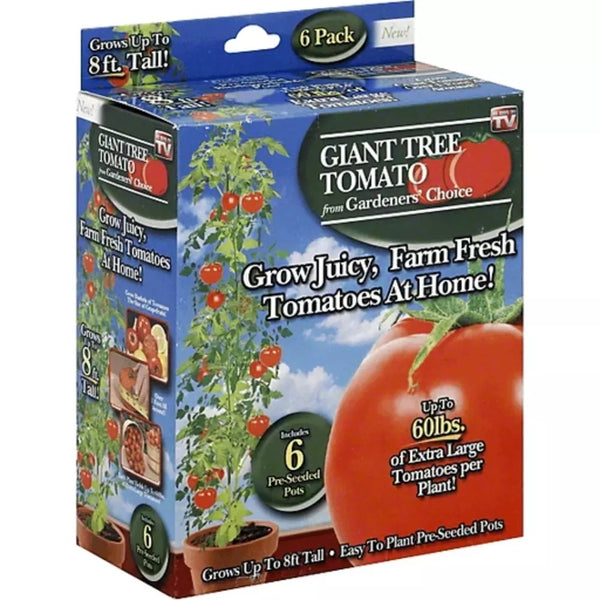Gardener's Choice Giant Tree Tomato - Includes 6 Pre-Seeded Pots