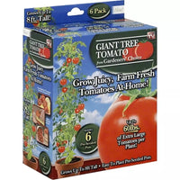 Gardener's Choice Giant Tree Tomato - Includes 12 Pre-Seeded Pots