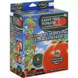 Gardener's Choice Giant Tree Tomato - Includes 12 Pre-Seeded Pots