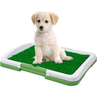 Duke's Indoor Potty Trainer Tray