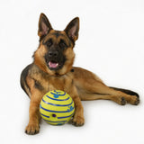 Wobble Wag Giggle Glow in the Dark Dog Ball