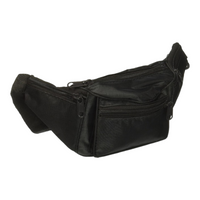 Kole 4 Compartment Travel Waist Pouch