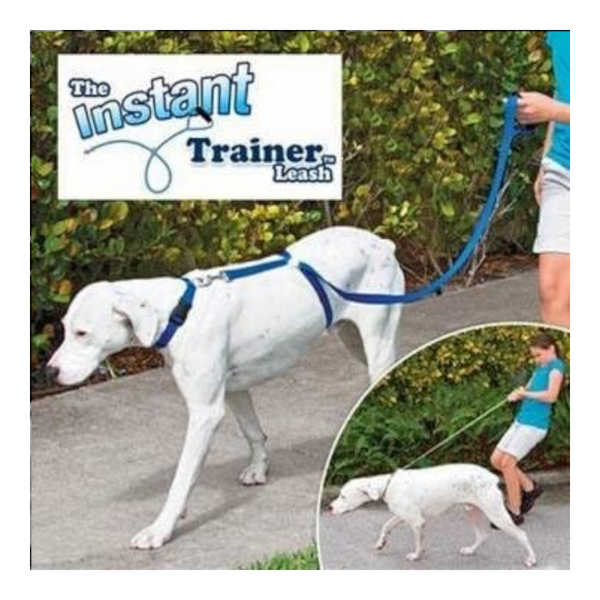 The Instant Trainer Leash