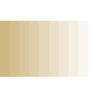 Grout Shield Grout Restoration System- (SandStone)