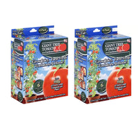Gardener's Choice Giant Tree Tomato - Includes 12 Pre-Seeded Pots