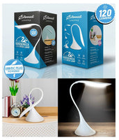 Eternal Gooseneck USB Desk Lamp