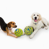 Wobble Wag Giggle Glow in the Dark Dog Ball