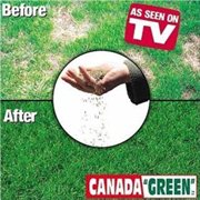 Canada Green Grass Lawn Seed - 2 Pound Bag